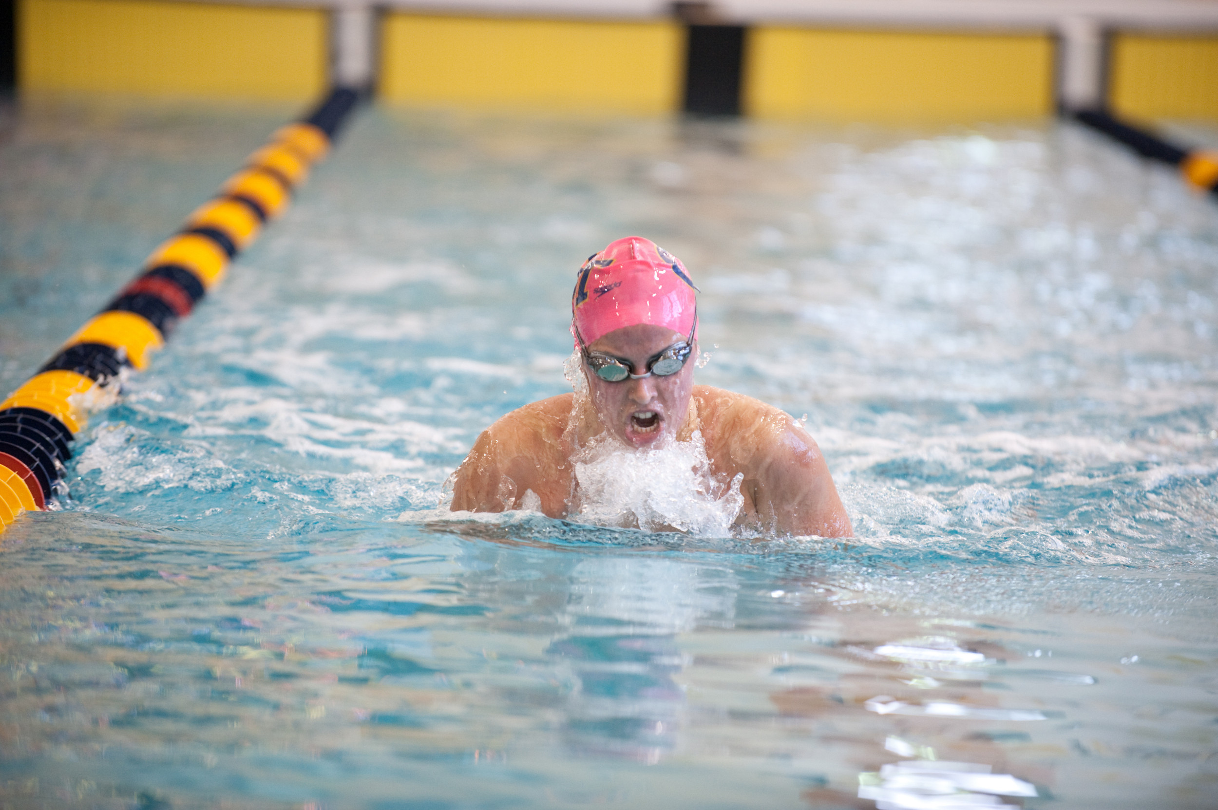 Women's 2010-2011 Swimming and Diving