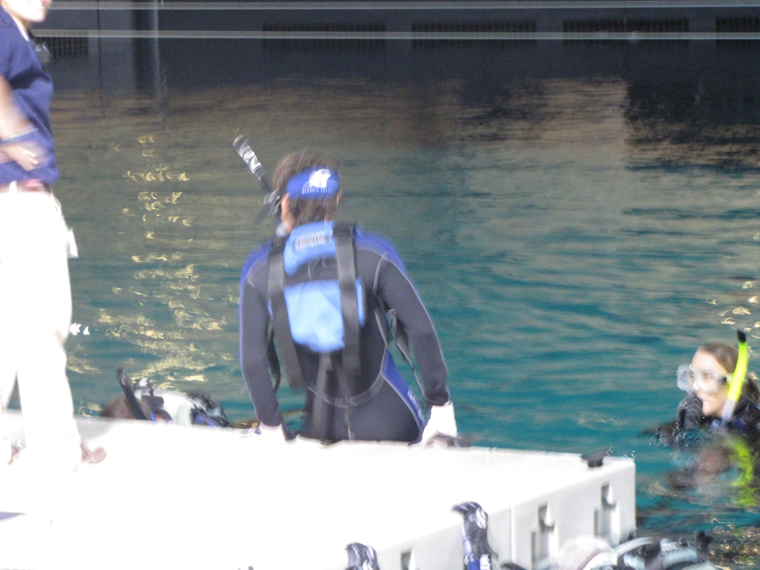 Assistant Coach Aljosa Piric gets into the water