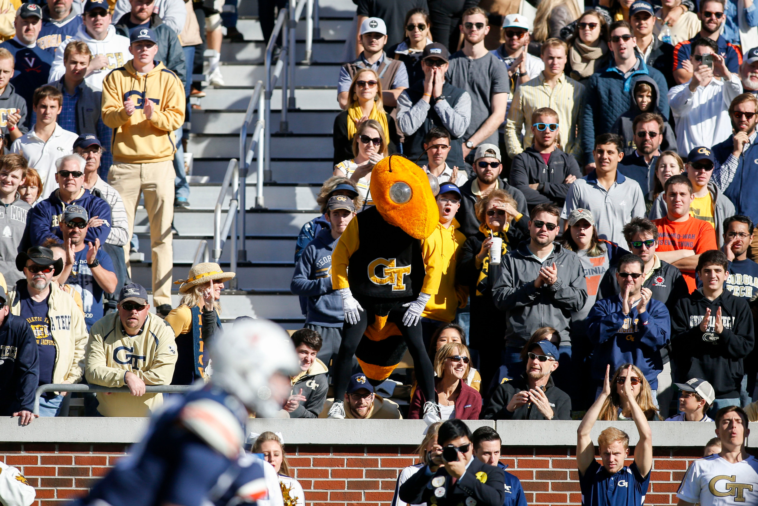 Nov 19, 2016; Atlanta, GA, USA; Georgia Tech Yellow Jackets mascot Buzz watches a game against the Virginia Cavaliers in the third quarter at Bobby Dodd Stadium. Mandatory Credit: Brett Davis-USA TODAY Sports