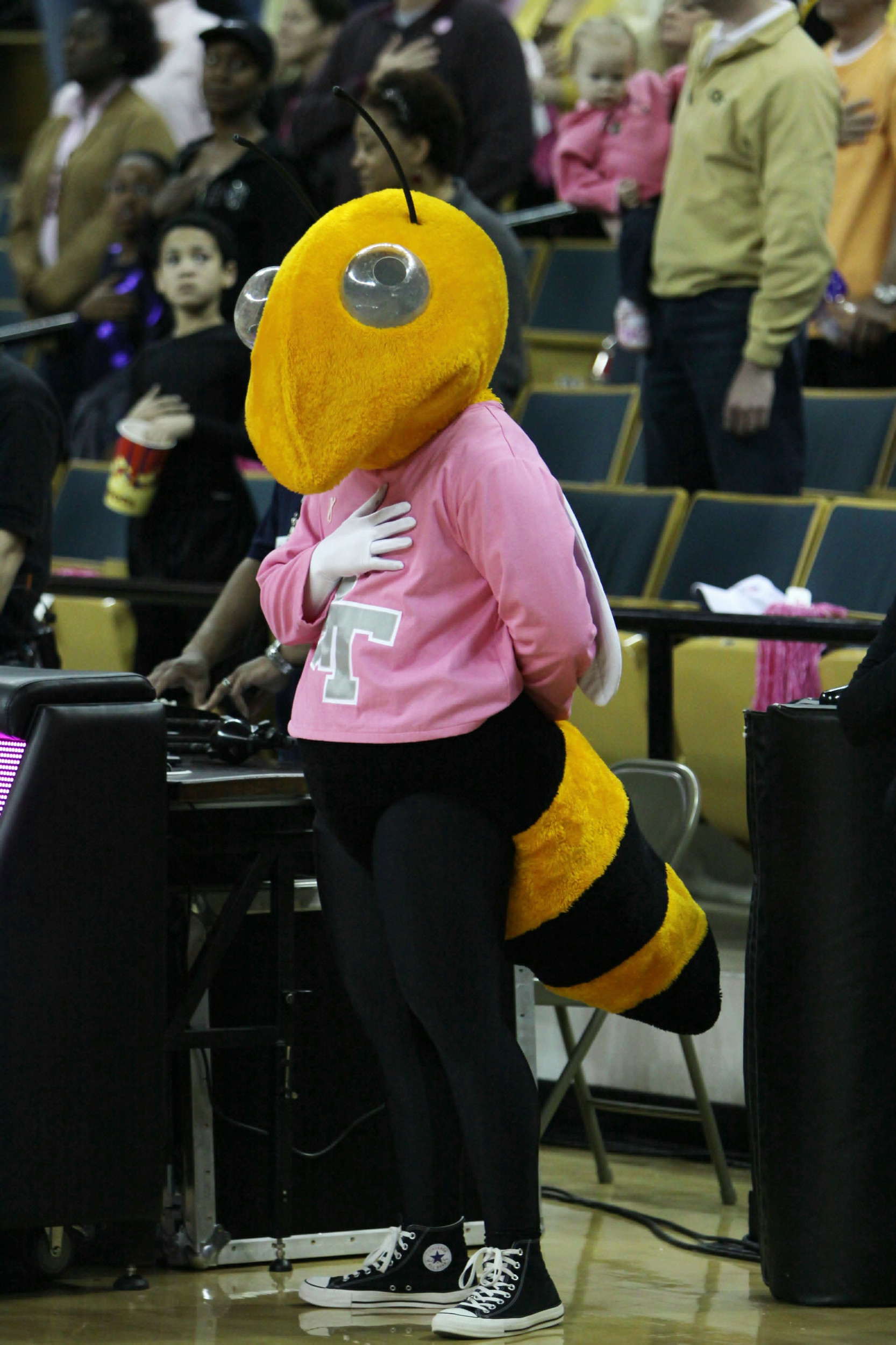 Pink Buzz