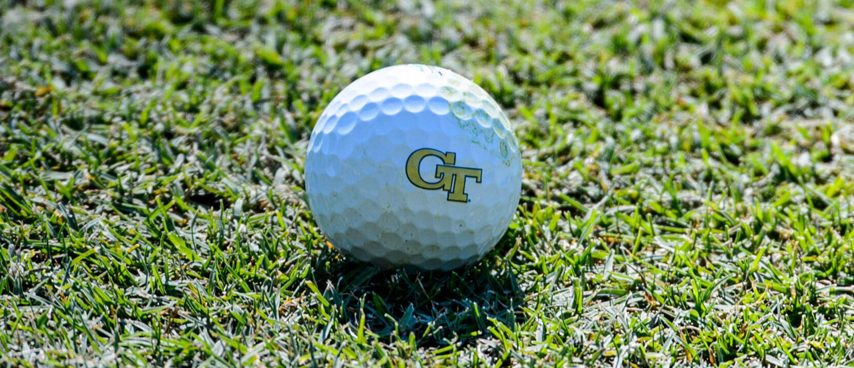 Golf Ball