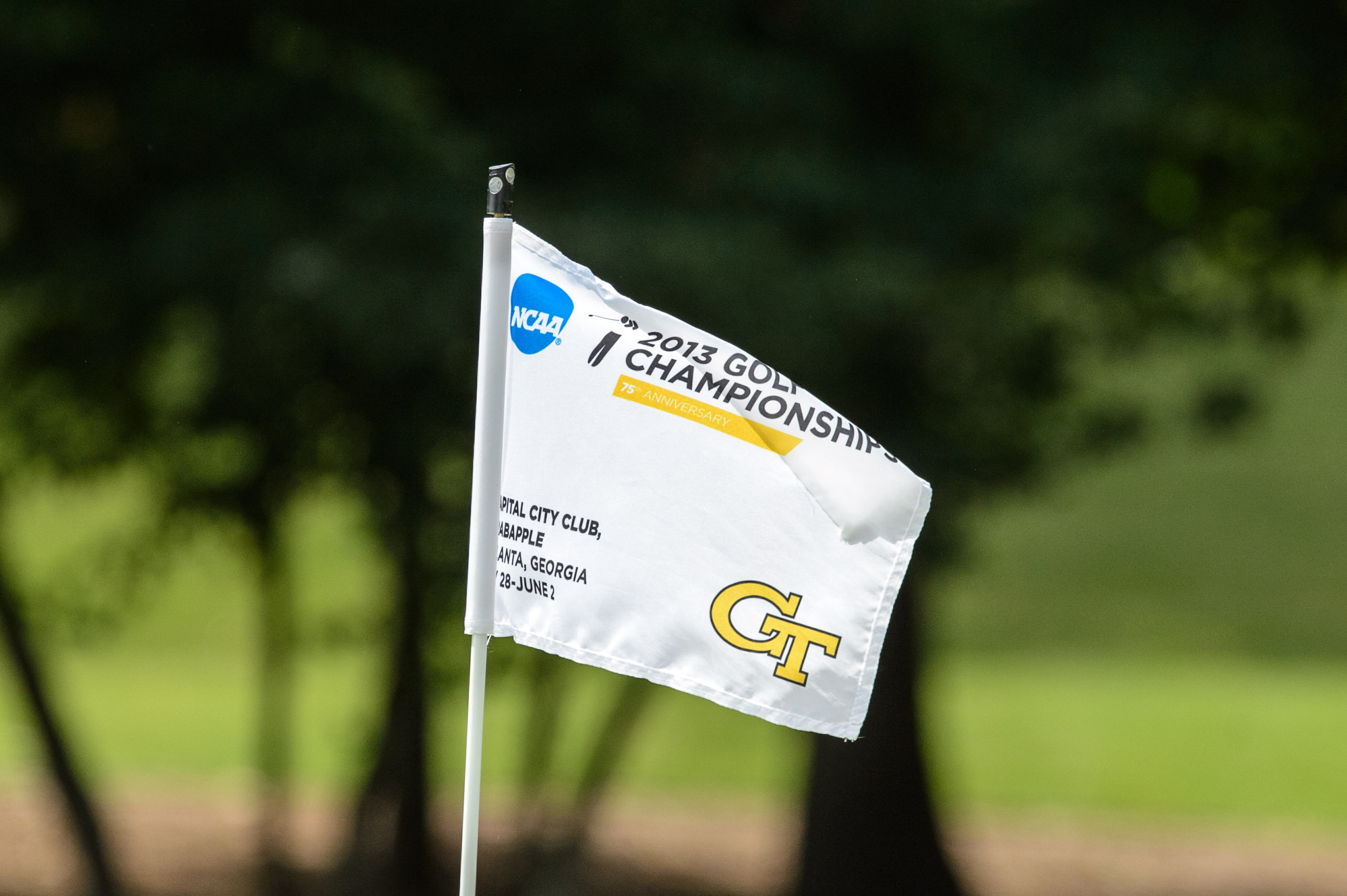 Pin at the NCAA Championships