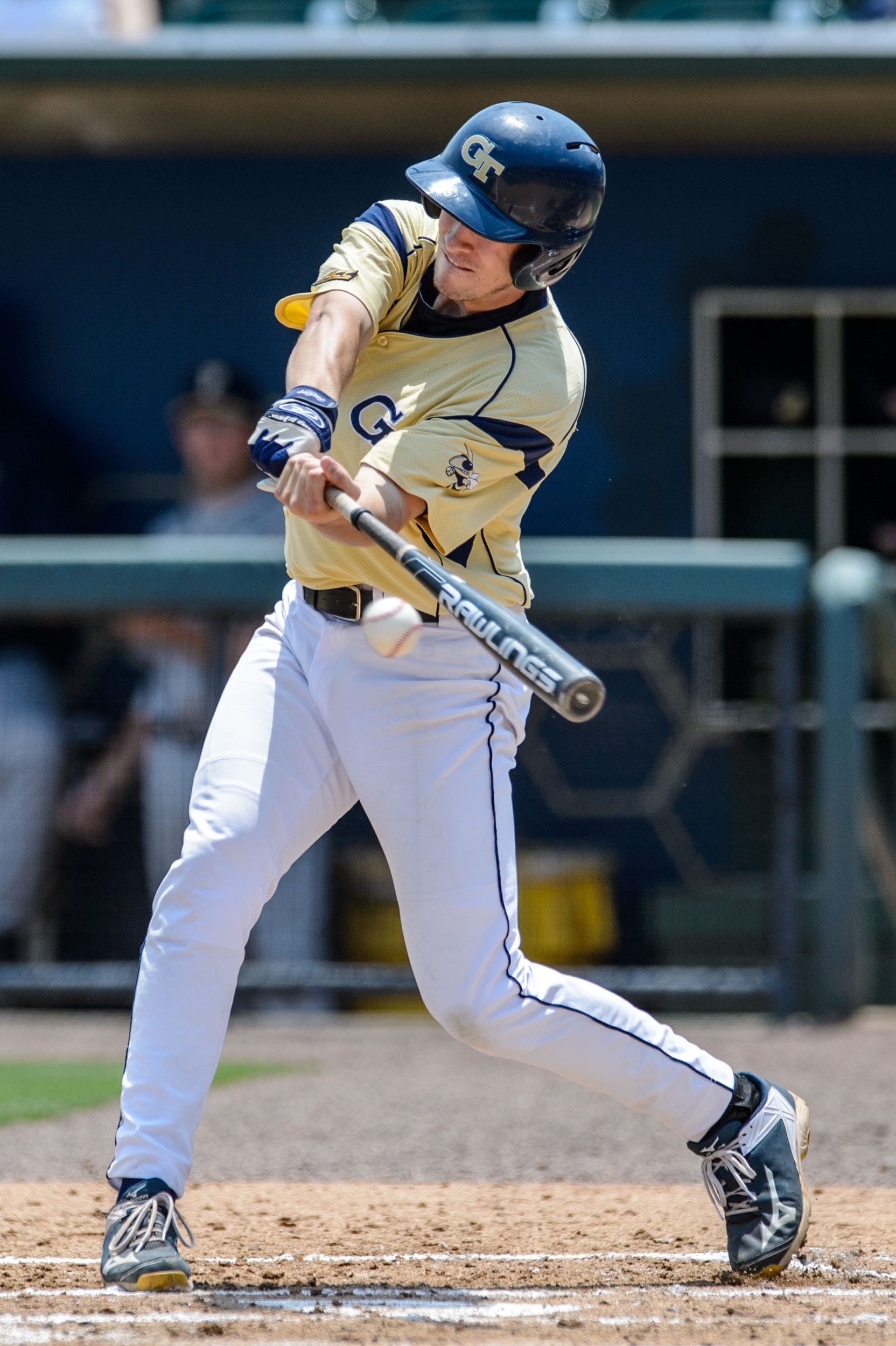 Daniel Spingola (35)
