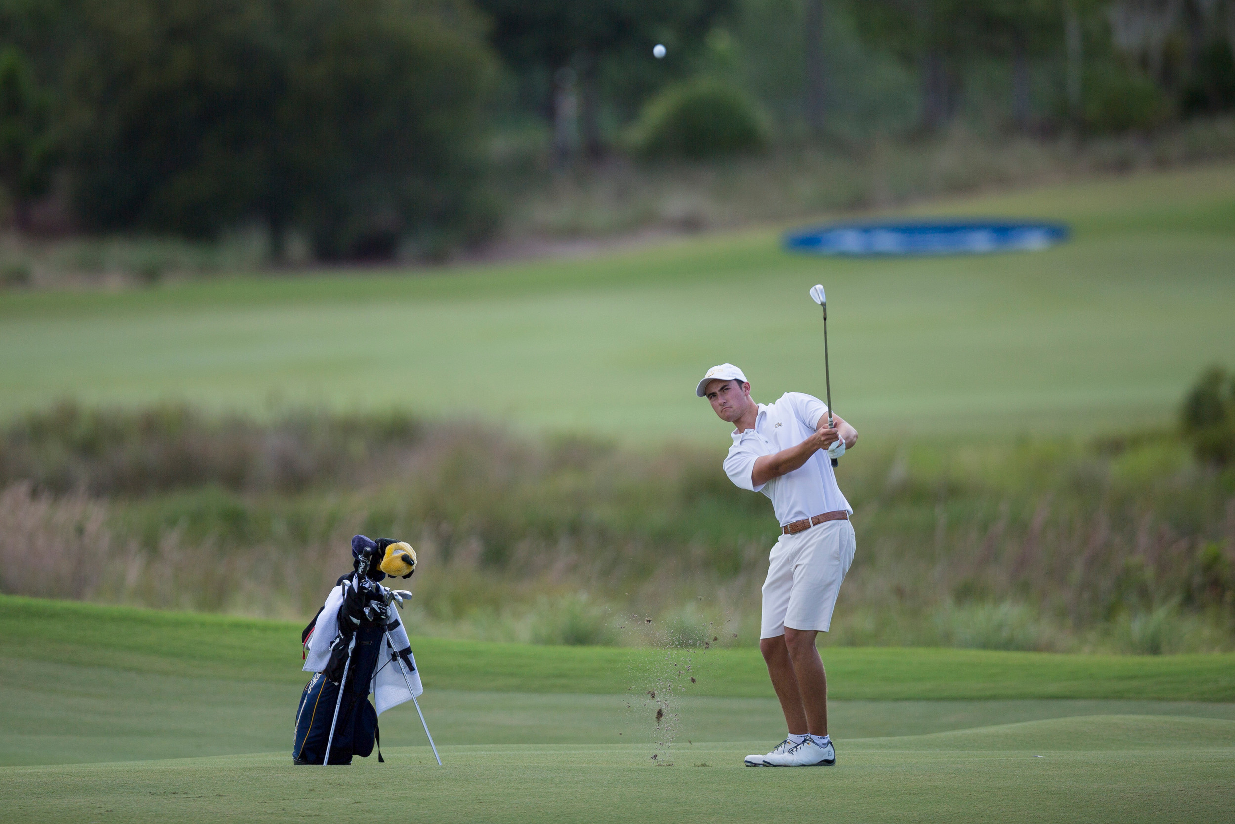 Chris Petefish during the opening round of the NCAA Championship, May 29, 2015, The Concession Golf Club, Bradenton, Fla.