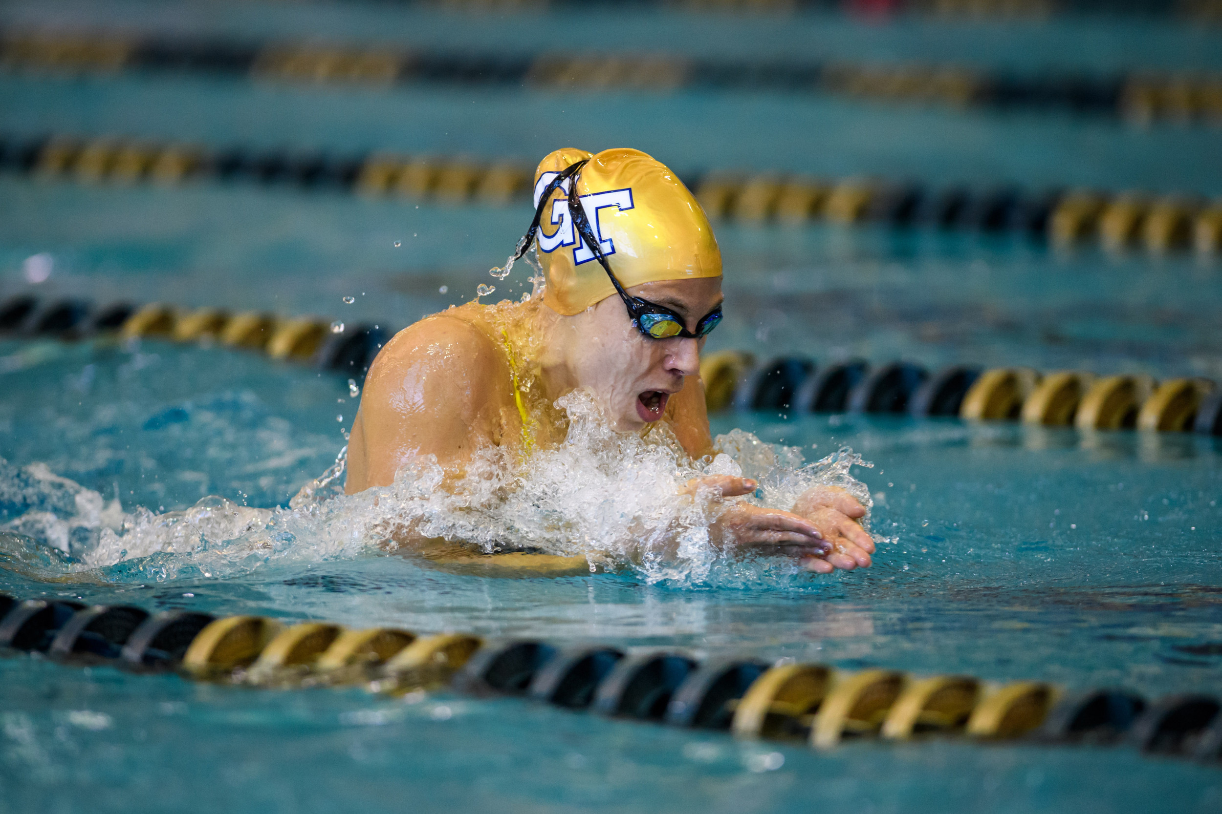 Senior Day Meet against FSU and SCAD