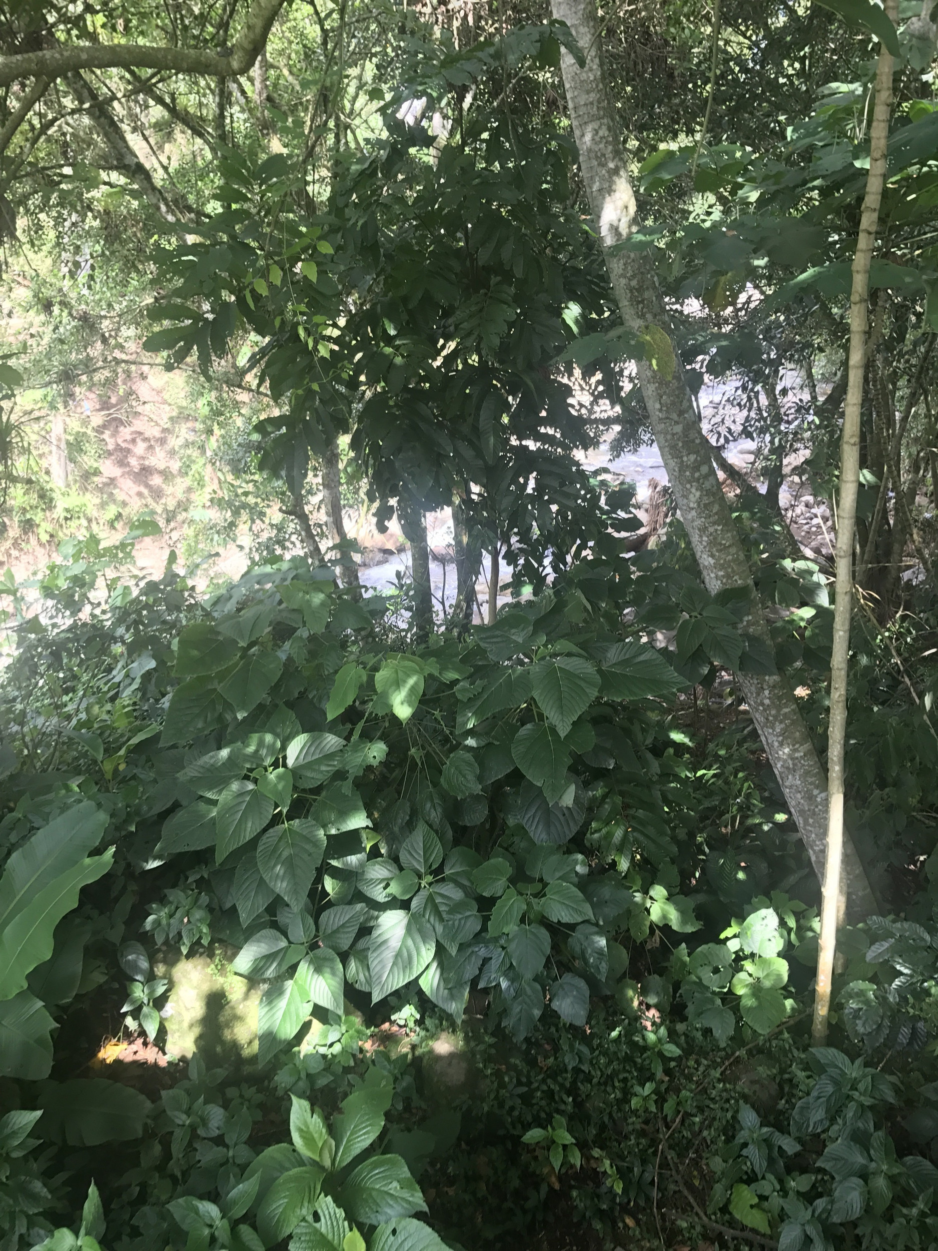 Jackets Without Borders - 2017 Summer to Costa Rica