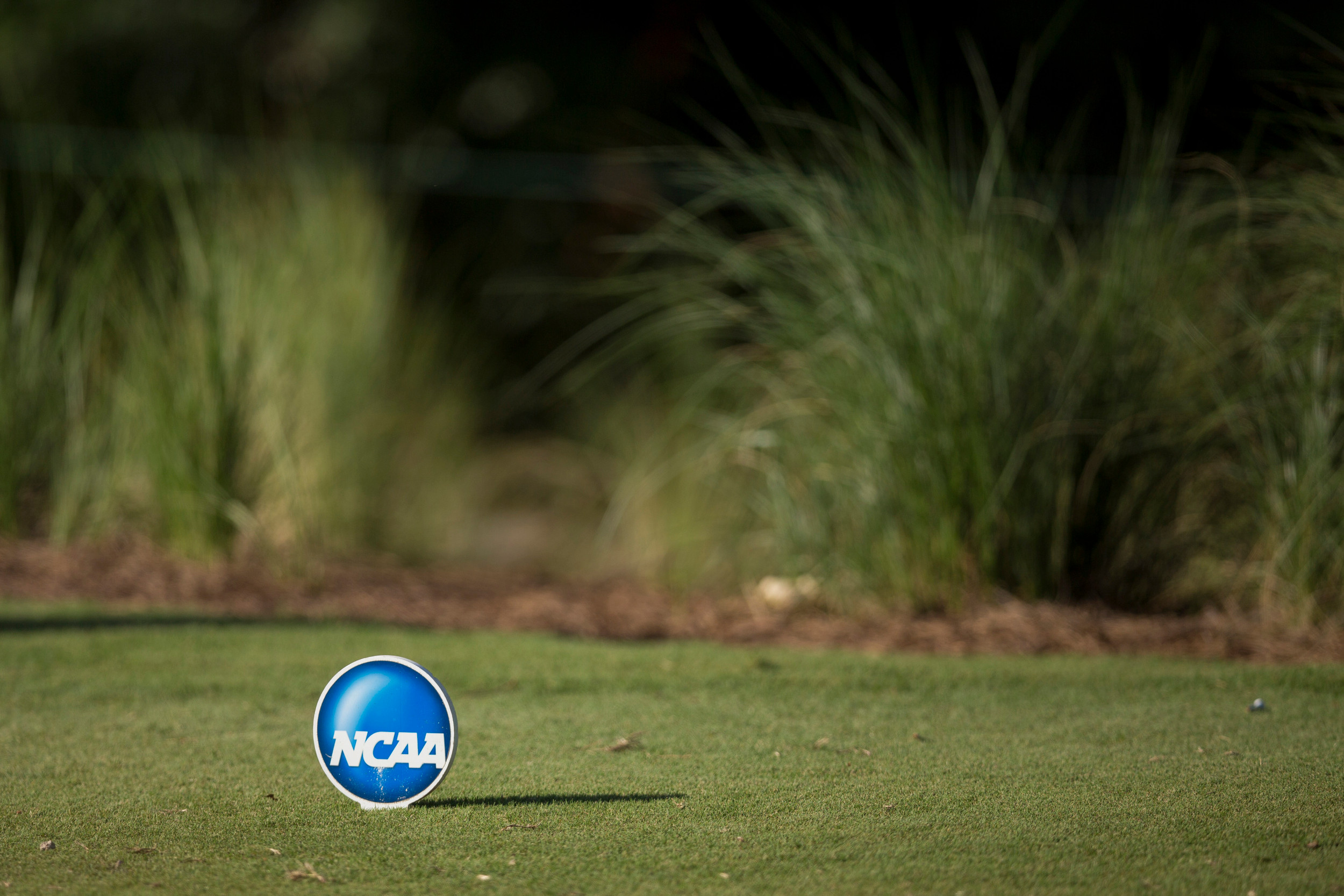 Opening round of the NCAA Championship, May 29, 2015, Bradendon, Fla.