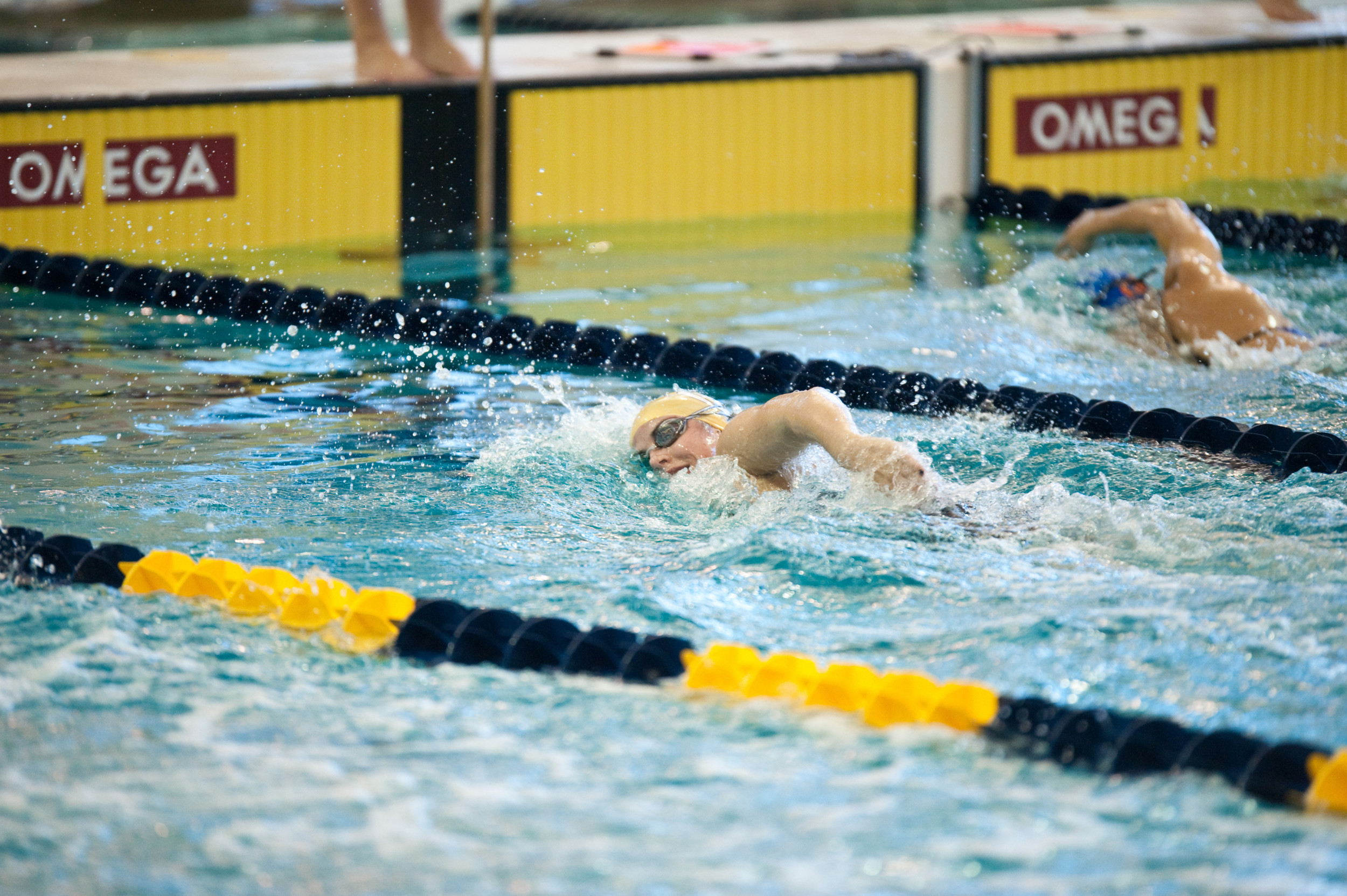 Women's 2010-2011 Swimming and Diving