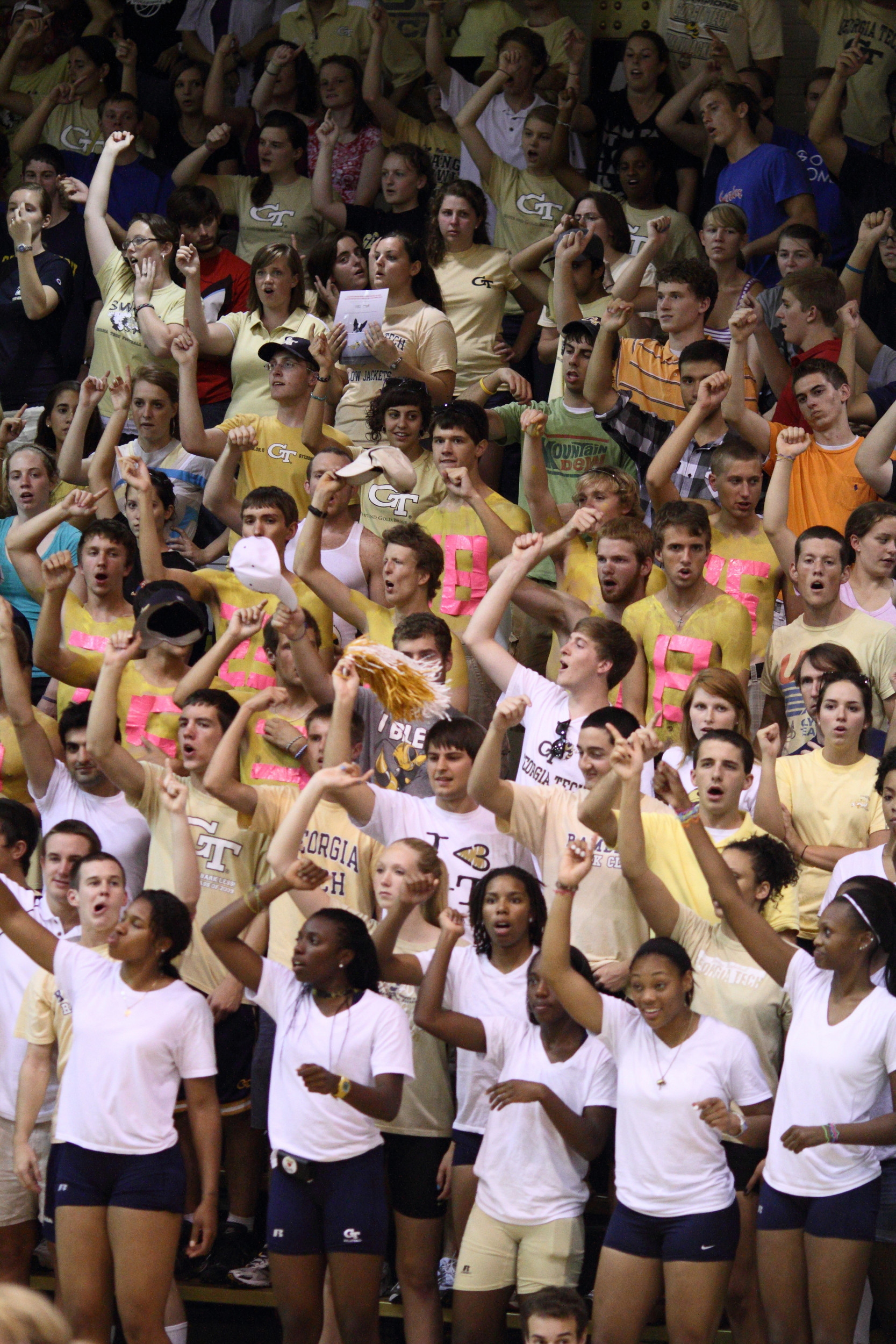 Yellow Jacket Fans