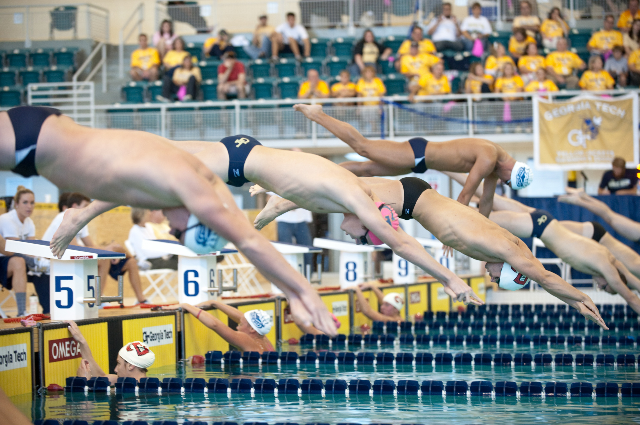 2010-11 Andreas Nilsson Men's Swimming and Diving