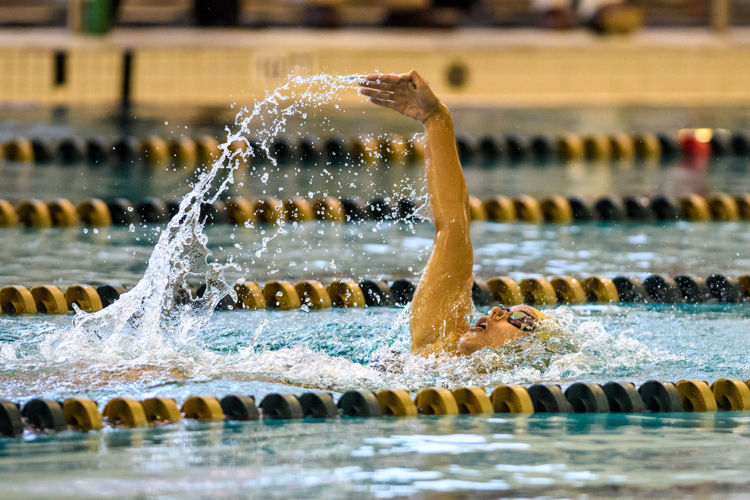 Senior Day Meet against FSU and SCAD