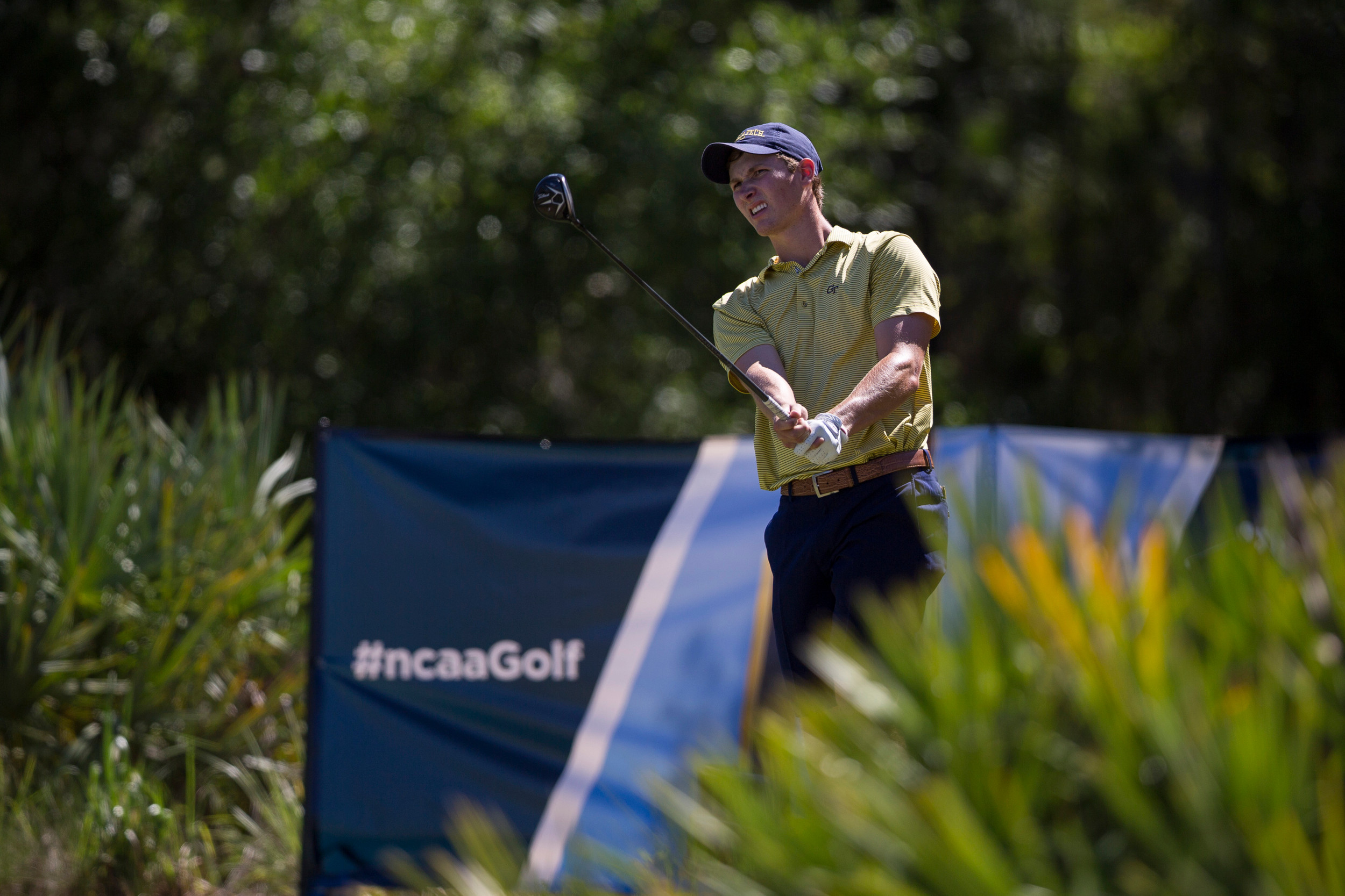 Vincent Whaley during the second round of the NCAA Championship, May 30, 2015, Bradendon, Fla.
