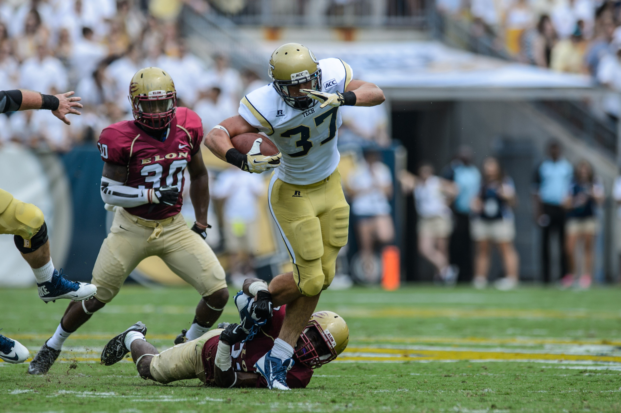 Zach Laskey (37)