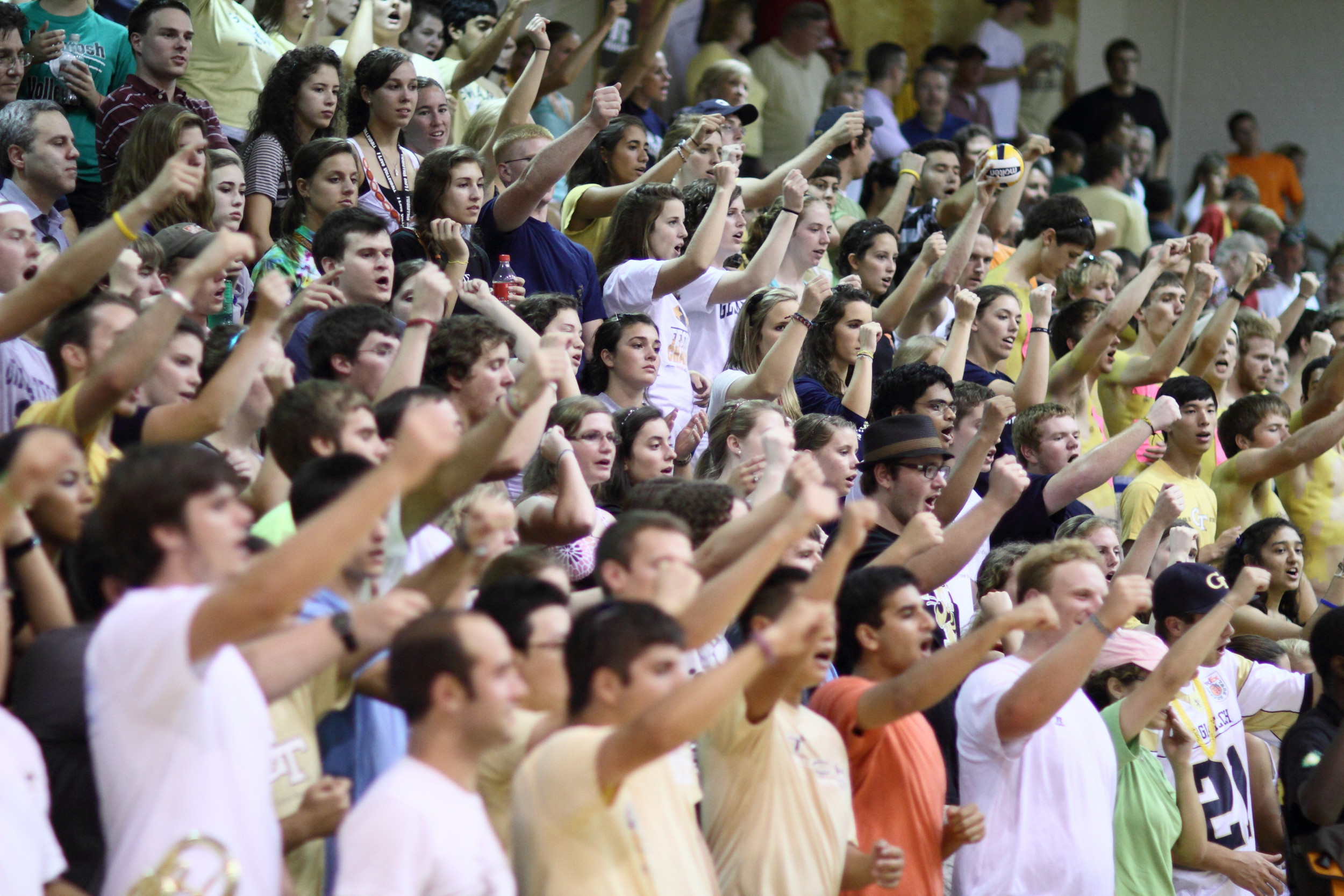 Yellow Jacket Fans
