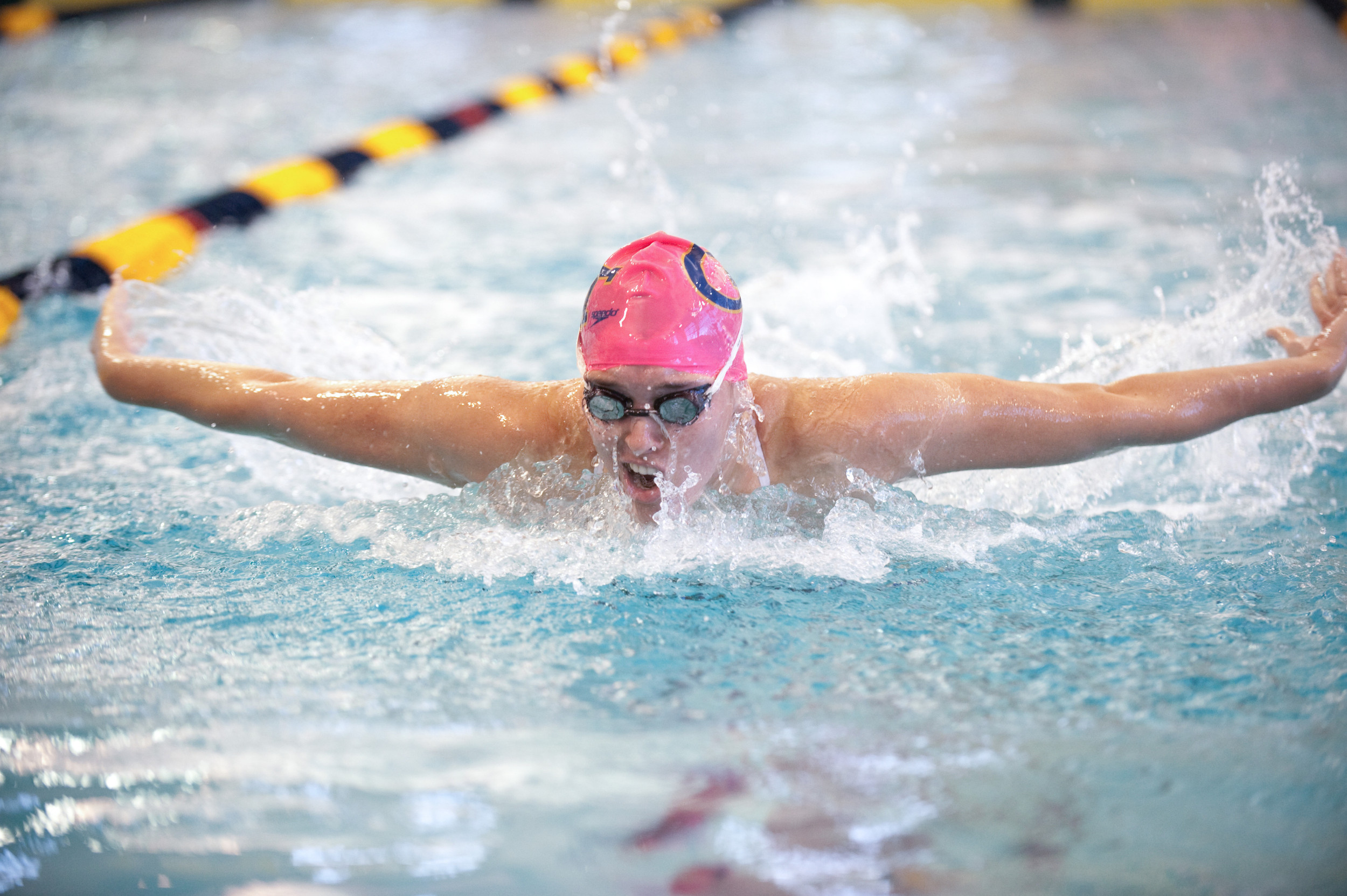 Women's 2010-2011 Swimming and Diving